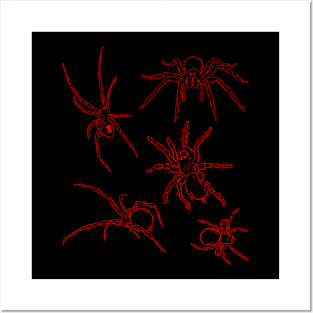 Red Spiders Sketch Study Posters and Art